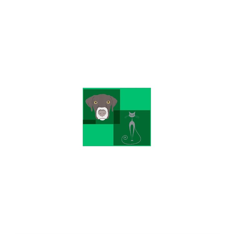 XEREM VET SPRAY 50ML